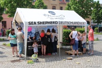 028_1605_StadtMitte_KiFewm