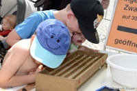 052_1605_StadtMitte_KiFewm